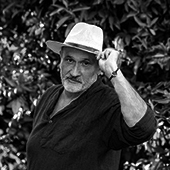 Attila Fekete Foto Autor