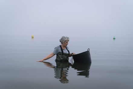 Rebeca Mayorga Foto Cataleg 1