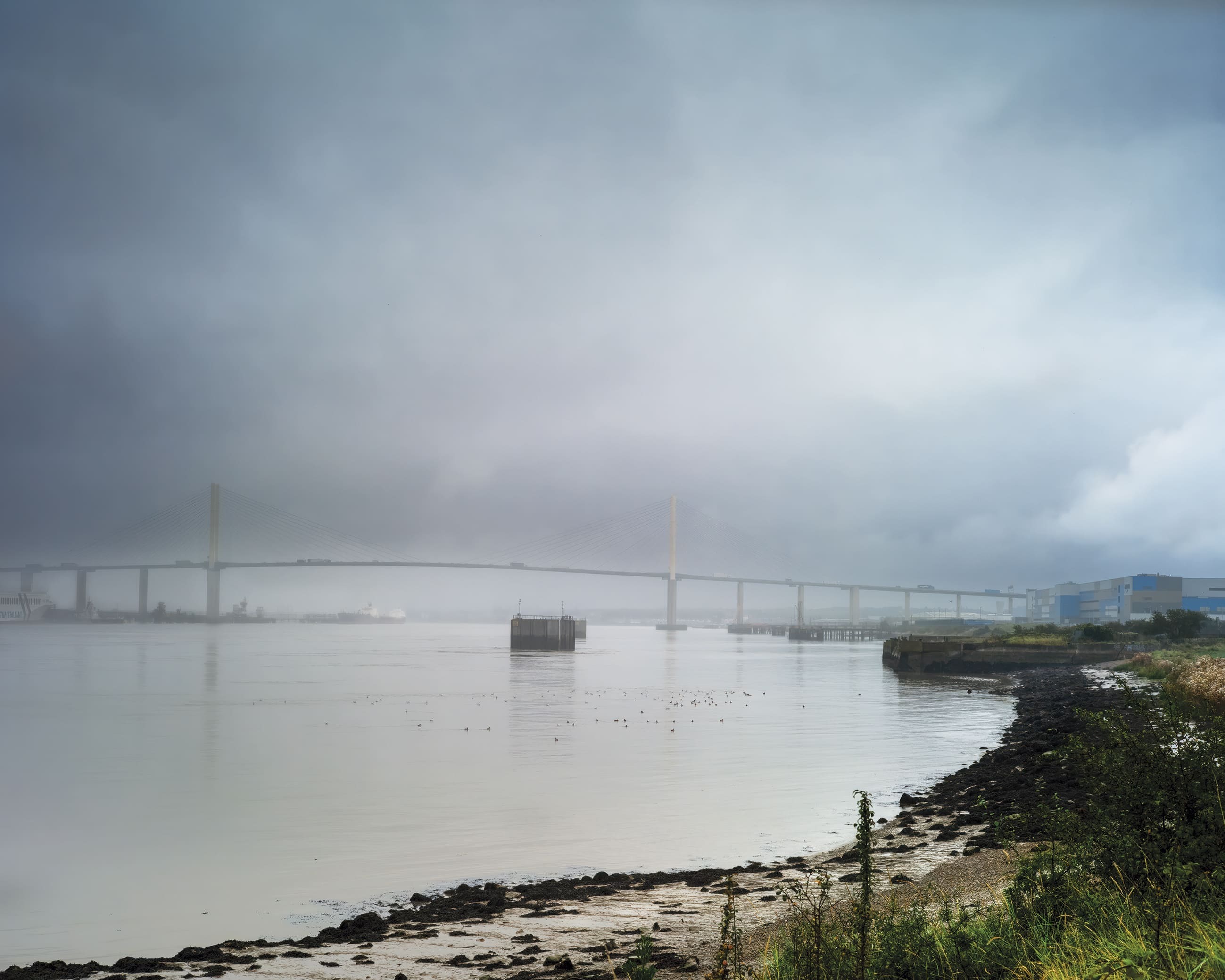 Irene Del Pino Foto Cataleg 1