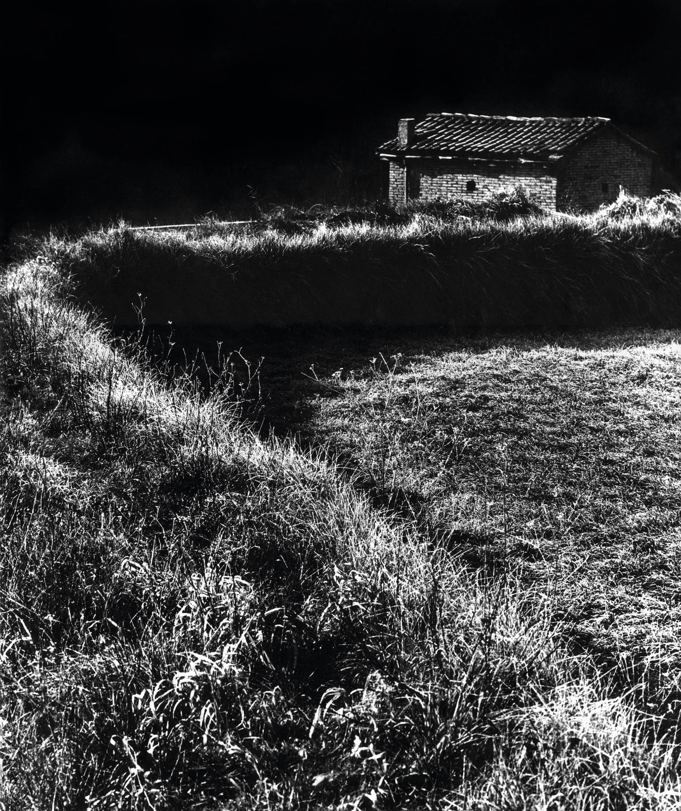 Whatsapp Image 2025 12 16 At 10 47 42