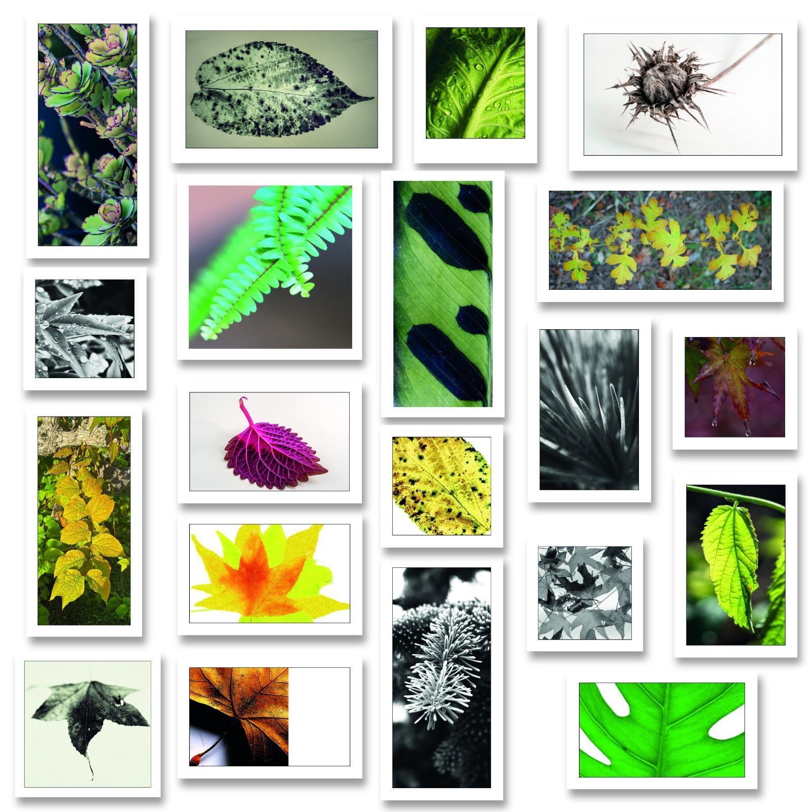 Whatsapp Image 2025 12 23 At 23 01 59