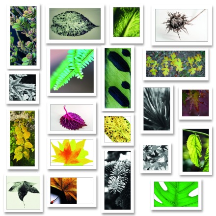 Whatsapp Image 2025 12 23 At 23 01 59