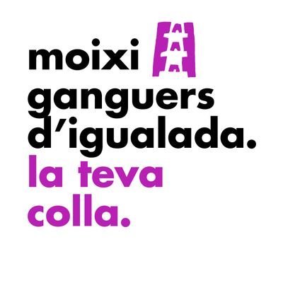 Moixigaguers